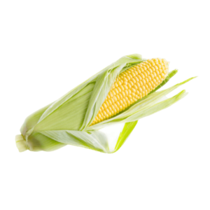 Corn 500gm(2pc)