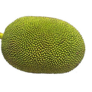 Jackfruit 1 kg