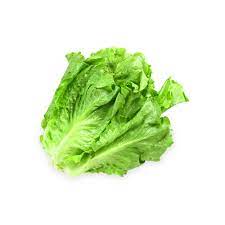 Romaine lettuce – 500 grams